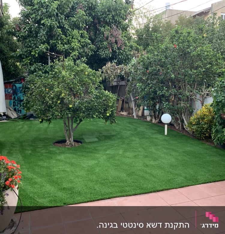 דשא ירוק, עצי פרי, עציץ עם פרחים אדומים